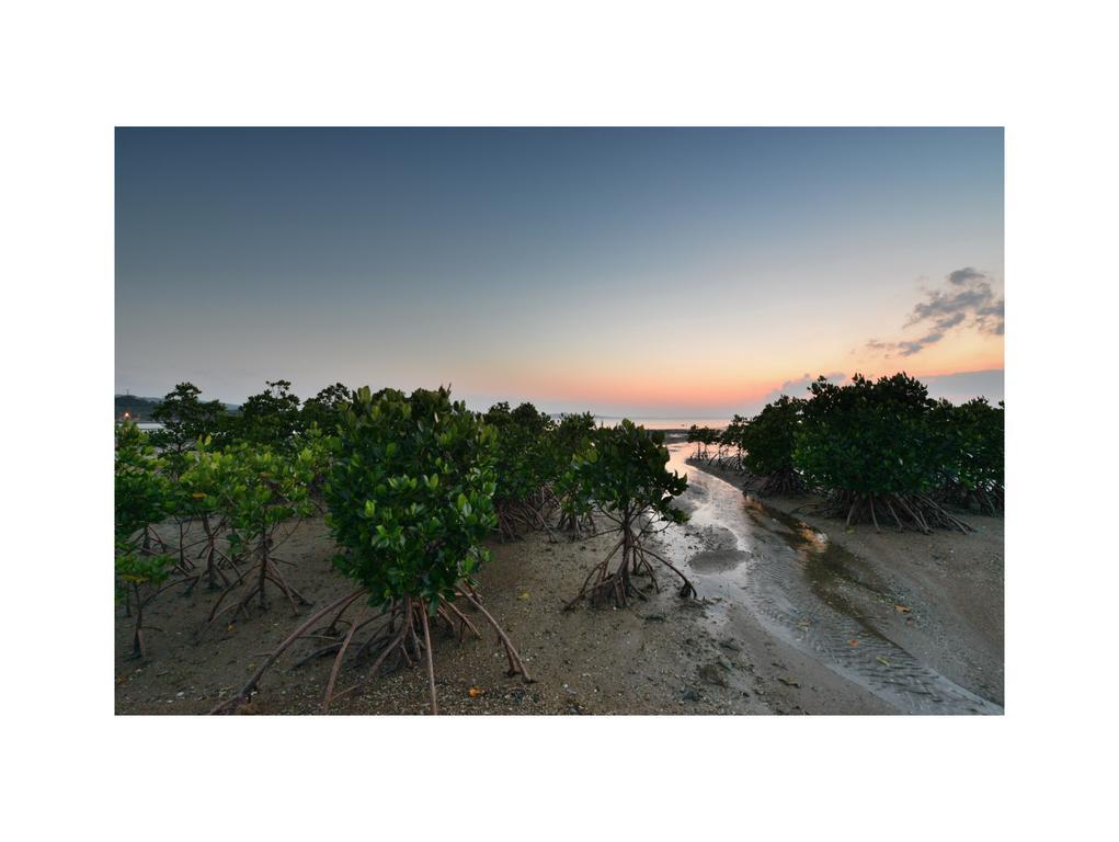 Oceanview Yui Hotel Ishigaki  ภายนอก รูปภาพ